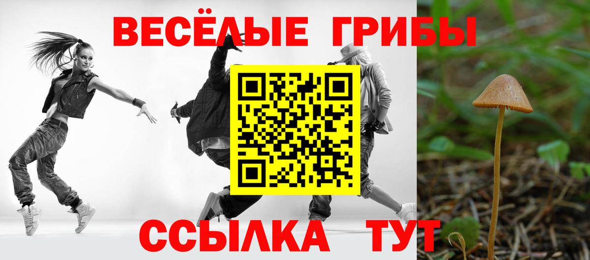 Галлюциногенные грибы Cubensis  Вход с VPN  Красноперекопск 